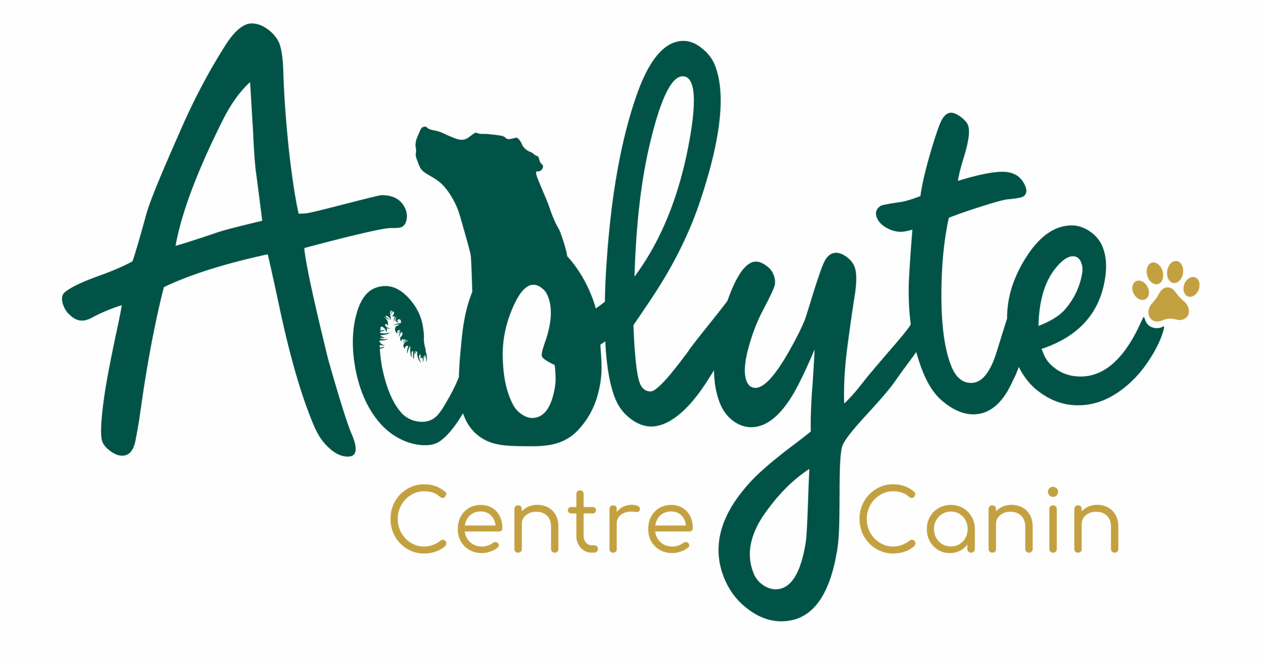 Acolyte Centre Canin